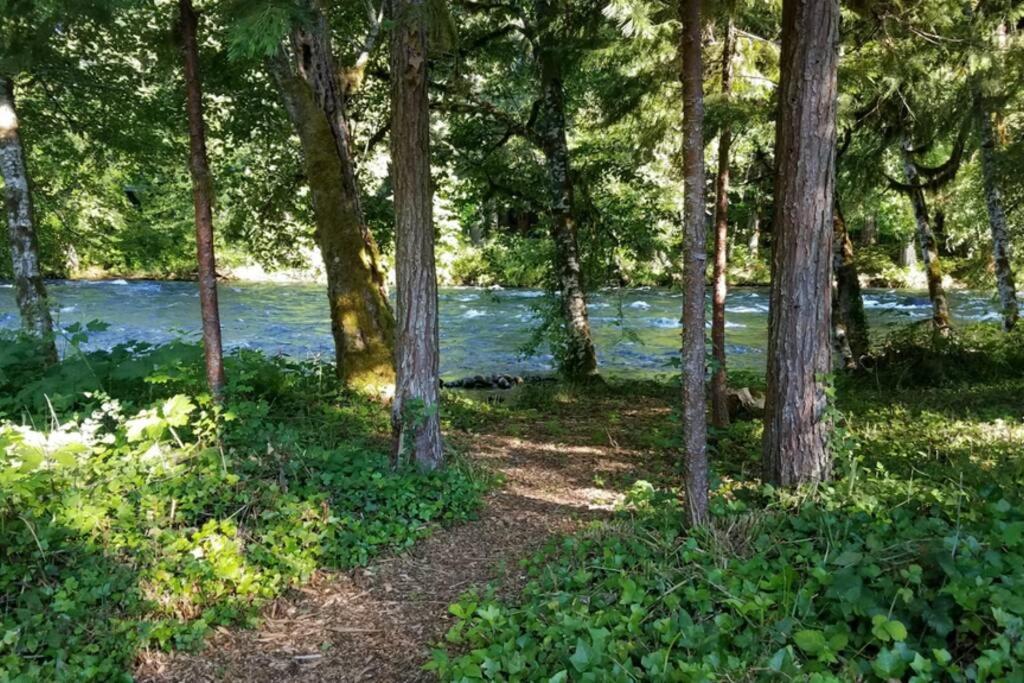 On The River Wooded Bliss Cabin Near Loloma McKenzie Bridge المظهر الخارجي الصورة