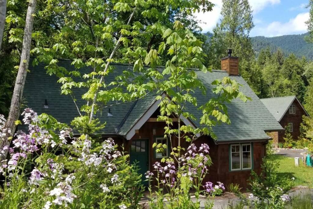 On The River Wooded Bliss Cabin Near Loloma McKenzie Bridge المظهر الخارجي الصورة