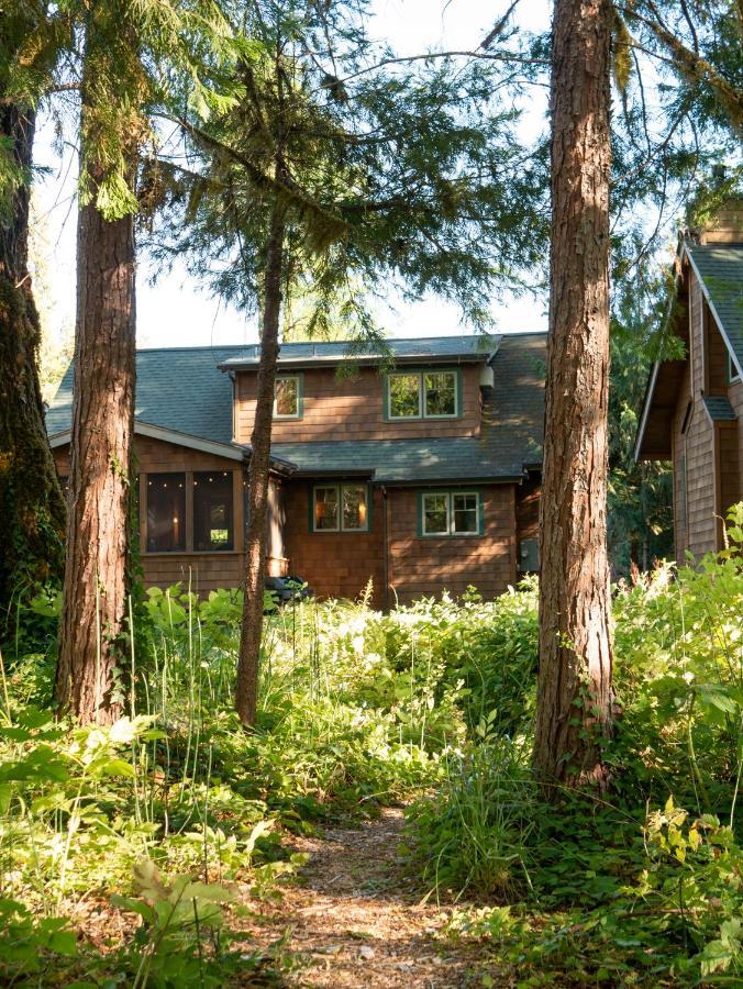 On The River Wooded Bliss Cabin Near Loloma McKenzie Bridge المظهر الخارجي الصورة